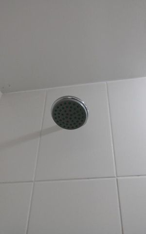 Apartamento para alugar com 65m², 2 quartos e 1 vagaBanheiro social - Chuveiro 