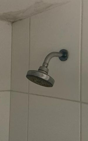 Apartamento para alugar com 54m², 2 quartos e 1 vaga Apartamento para alugar com 54m², 2 quartos e 1 vagaChuveiro
