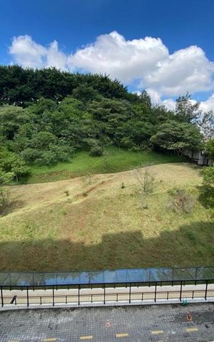 Apartamento para alugar com 54m², 2 quartos e 1 vaga Apartamento para alugar com 54m², 2 quartos e 1 vagaVista da Suíte 1
