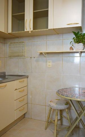 Apartamento para alugar com 56m², 2 quartos e sem vagaCozinha