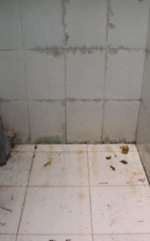 Casa à venda com 110m², 3 quartos e 1 vagaÁrea de Serviço