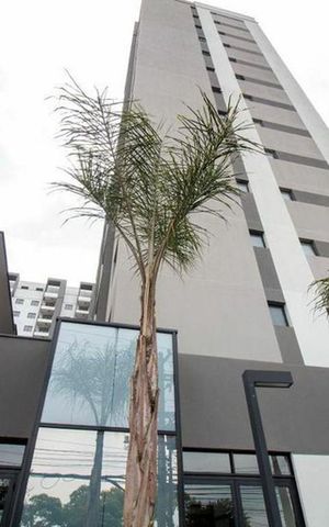 Studio para alugar com 25m², 1 quarto e sem vaga Studio para alugar com 25m², 1 quarto e sem vagaFachada