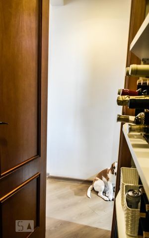Apartamento à venda com 100m², 3 quartos e 2 vagasDispensa 