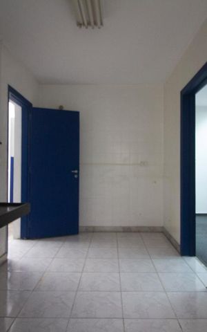 Casa à venda com 240m², 6 quartos e 3 vagasCozinha