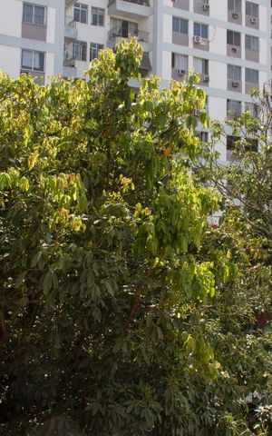 Apartamento à venda com 70m², 2 quartos e 1 vagaQuarto 01 - Janela