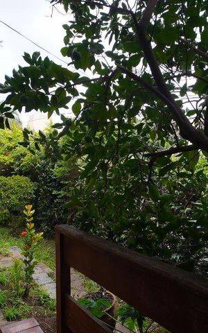 Casa à venda com 100m², 1 quarto e 3 vagasQuarto 1 - Vista