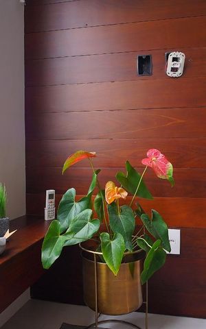 Apartamento para alugar com 45m², 1 quarto e 1 vagaSala