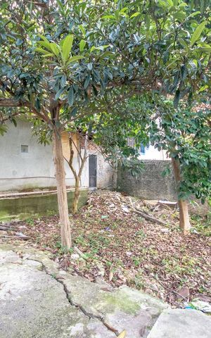 Casa à venda com 498m², 6 quartos e 3 vagasQuintal