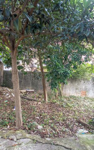 Casa à venda com 498m², 6 quartos e 3 vagasQuintal