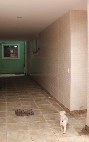 Casa à venda com 300m², 6 quartos e 2 vagasQuintal/Garagem