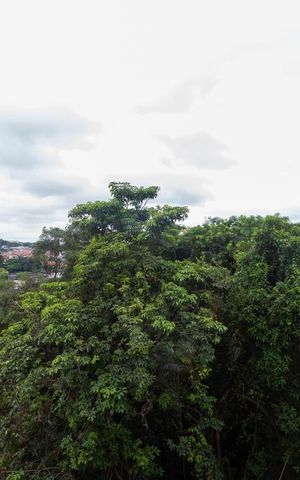 Apartamento para alugar com 57m², 2 quartos e 1 vaga Apartamento para alugar com 57m², 2 quartos e 1 vagaVista