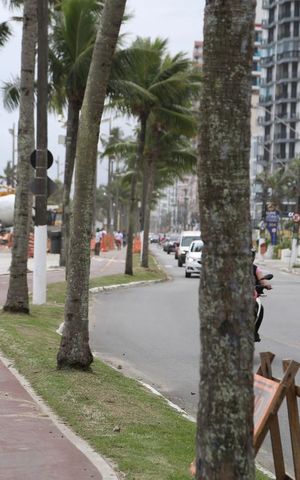 Apartamento para alugar com 174m², 3 quartos e 2 vagasCiclovia