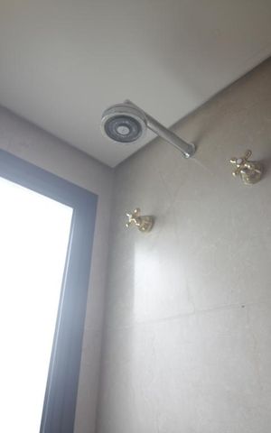 Apartamento à venda com 370m², 4 quartos e 5 vagasChuveiro