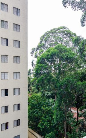 Apartamento para alugar com 65m², 2 quartos e 1 vaga Apartamento para alugar com 65m², 2 quartos e 1 vagaVista da Sala