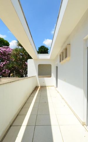 Casa à venda com 750m², 3 quartos e 5 vagasTerraço