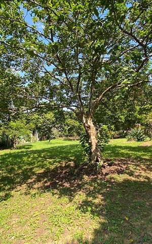 Casa à venda com 180m², 3 quartos e 1 vagaJardim