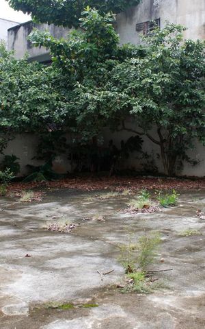 Casa à venda com 400m², 3 quartos e 4 vagasQuintal