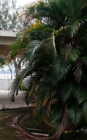 Casa à venda com 400m², 3 quartos e 4 vagasQuintal