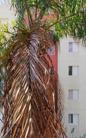 Apartamento à venda com 44m², 2 quartos e sem vaga Apartamento à venda com 44m², 2 quartos e sem vagaVista Sala