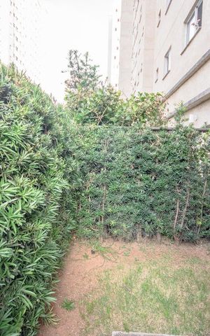 Apartamento à venda com 64m², 1 quarto e sem vagaQuintal