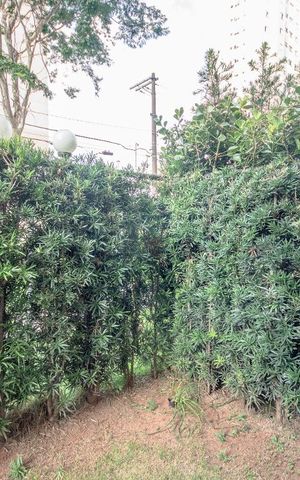 Apartamento à venda com 64m², 1 quarto e sem vagaQuintal