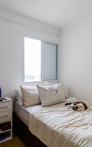Apartamento para alugar com 54m², 2 quartos e 1 vaga Apartamento para alugar com 54m², 2 quartos e 1 vagaSuíte