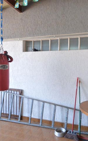 Casa à venda com 193m², 3 quartos e 3 vagasEspaço coberto entre a casa e edícula