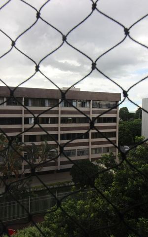 Apartamento para alugar com 57m², 2 quartos e sem vagaVista do quarto 1