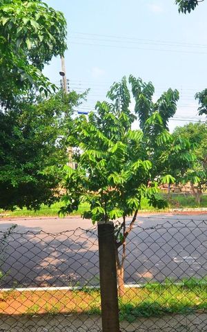 Casa à venda com 119m², 3 quartos e 3 vagasVista Cozinha