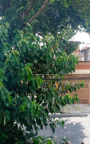 Casa à venda com 154m², 3 quartos e 4 vagasVista do Quarto 1