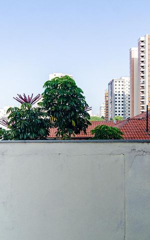 Apartamento para alugar com 50m², 1 quarto e 1 vaga Apartamento para alugar com 50m², 1 quarto e 1 vagaVista do Quarto