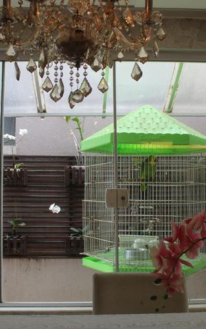 Casa de condomínio para alugar com 350m², 6 quartos e 2 vagasSala de Estar