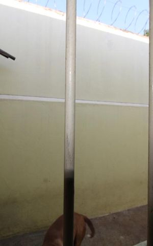 Casa à venda com 199m², 3 quartos e 2 vagasVista do Quarto 1