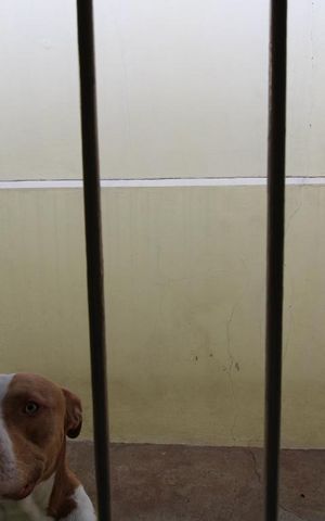 Casa à venda com 199m², 3 quartos e 2 vagasVista do Quarto 2