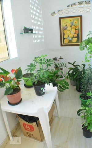 Casa de condomínio para alugar com 240m², 3 quartos e 1 vagaJardim