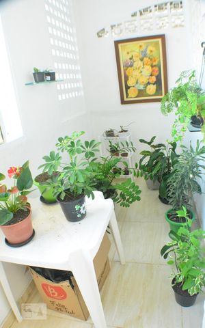 Casa de condomínio para alugar com 240m², 3 quartos e 1 vagaJardim