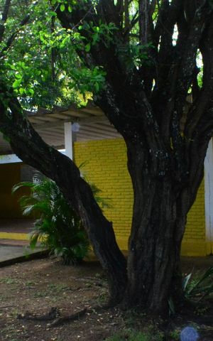 Casa de condomínio para alugar com 240m², 3 quartos e 1 vagaÁrea comum