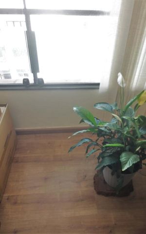 Apartamento à venda com 42m², 2 quartos e 1 vagaVaranda