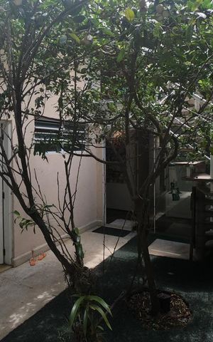 Casa à venda com 430m², 5 quartos e 2 vagas Casa à venda com 430m², 5 quartos e 2 vagasQuintal