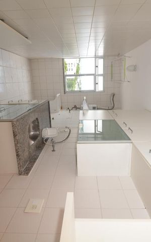 Apartamento para alugar com 62m², 2 quartos e 2 vagasCozinha e Área de Serviço