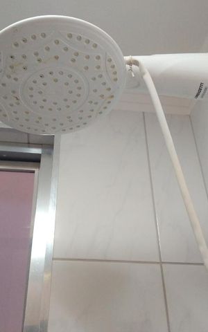 Apartamento para alugar com 55m², 2 quartos e sem vaga Apartamento para alugar com 55m², 2 quartos e sem vagaBanheiro