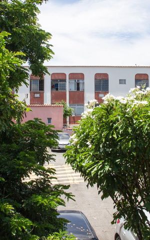 Apartamento para alugar com 45m², 1 quarto e 1 vagaSala - Janela