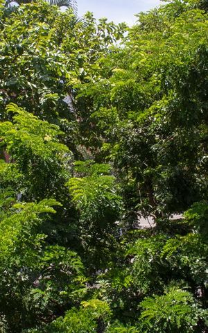 Apartamento para alugar com 45m², 1 quarto e 1 vagaQuarto - Janela