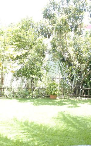 Casa à venda com 390m², 3 quartos e 4 vagasQuintal