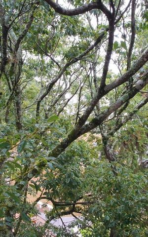 Apartamento à venda com 42m², 1 quarto e 1 vagaQuarto-Vista 