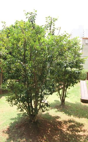 Apartamento à venda com 170m², 3 quartos e 3 vagasPlayground
