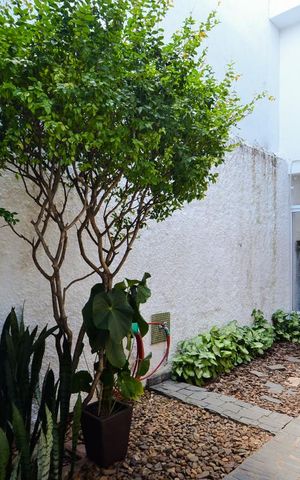 Casa à venda com 297m², 3 quartos e 8 vagas Casa à venda com 297m², 3 quartos e 8 vagasÁrea Externa - Fundos da Casa