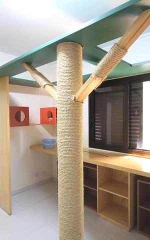 Casa à venda com 250m², 3 quartos e 2 vagas Quarto 1