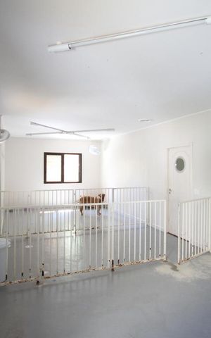 Casa à venda com 250m², 3 quartos e 2 vagasSuíte