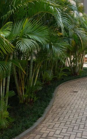 Apartamento à venda com 44m², 2 quartos e sem vagaÁrea comum